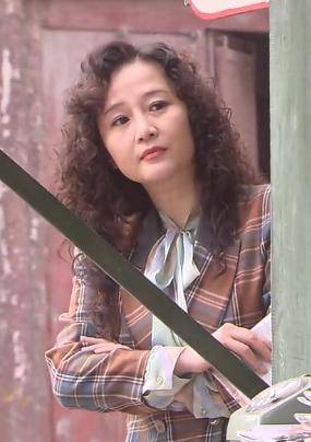二叔(2013年習辛導演電視連續劇)