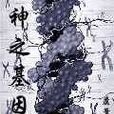 神之基因(蘆葦開花的一部小說) 神之基因(蘆葦開花的一部小說)