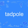 tadpole tadpole