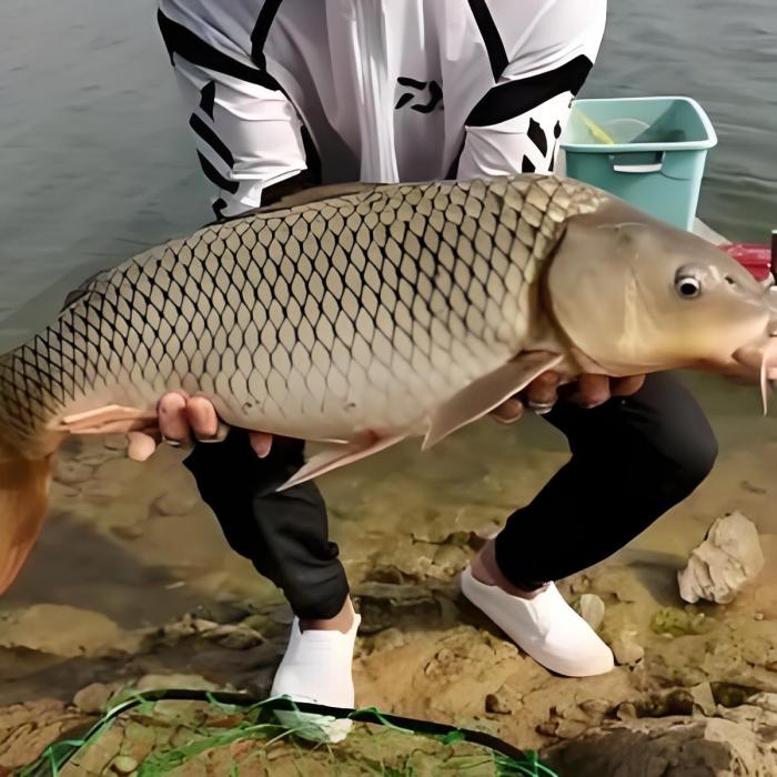 湖南天道