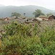 阿底村(雲南省昆明市官渡區大板橋鎮下轄村) 阿底村(雲南省昆明市官渡區大板橋鎮下轄村)