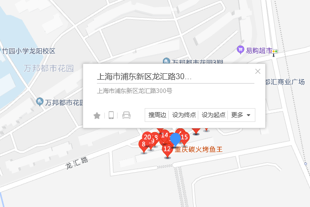 龍匯路300號 龍匯路300號