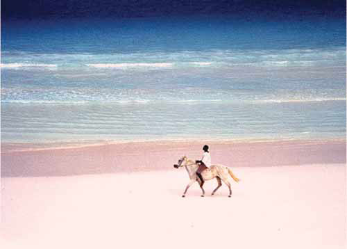 巴哈馬群島上哈勃島的粉色沙灘