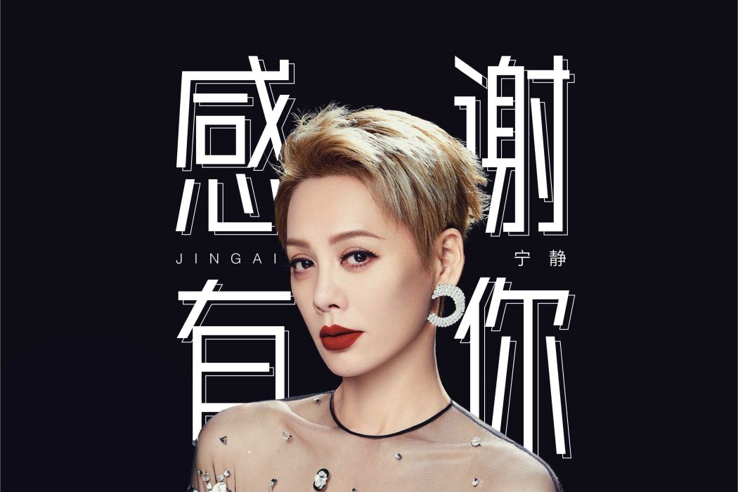 感謝有你(2020年寧靜演唱歌曲) 感謝有你(2020年寧靜演唱歌曲)