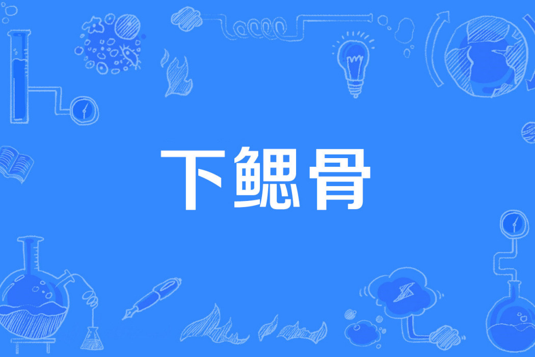 下鰓骨 下鰓骨