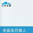 夾著尾巴做人 夾著尾巴做人