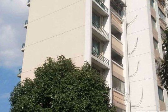 金楓家園 金楓家園