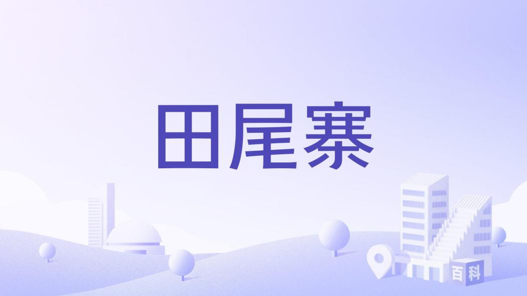 田尾寨 田尾寨