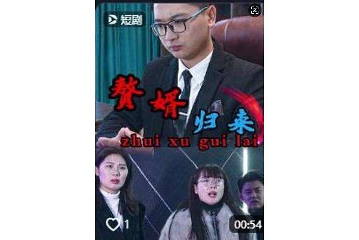 贅婿歸來(抖音播出的微短劇) 贅婿歸來(抖音播出的微短劇)