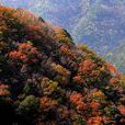 馬特勞山 馬特勞山