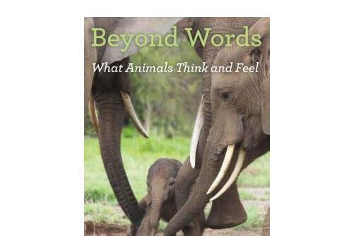 beyond words what animals think and feel beyond words what animals think and feel