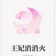 王妃消消火 王妃消消火
