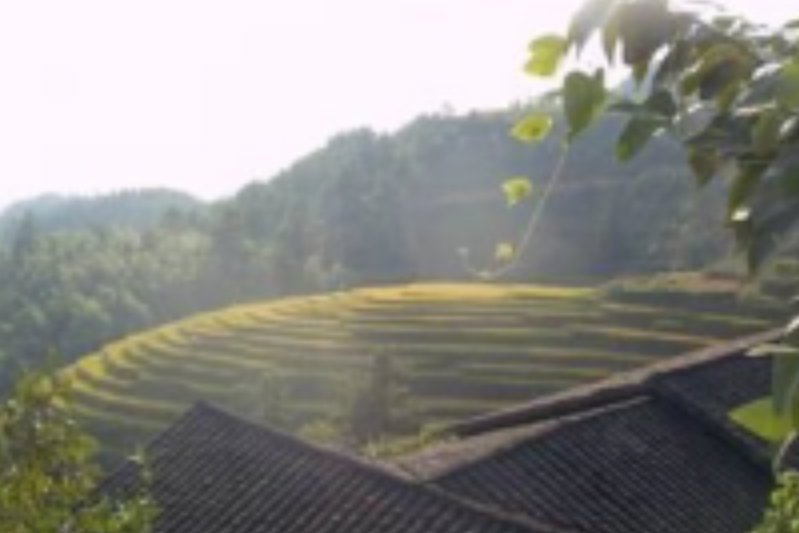 竹巴村 竹巴村