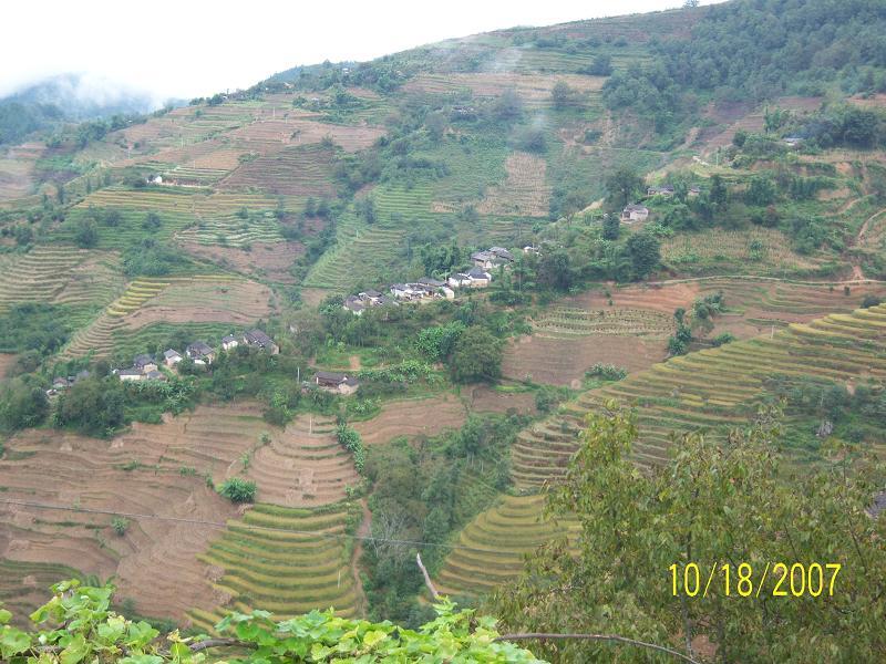 莊羊塘村 莊羊塘村