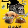 萌犬小波 萌犬小波