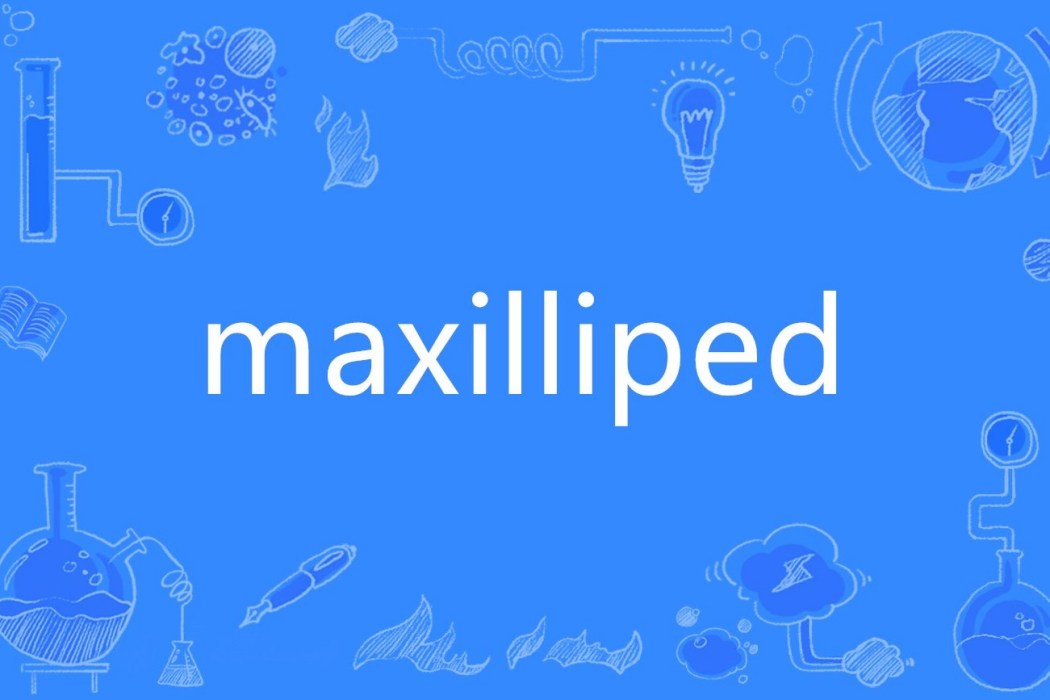 maxilliped maxilliped