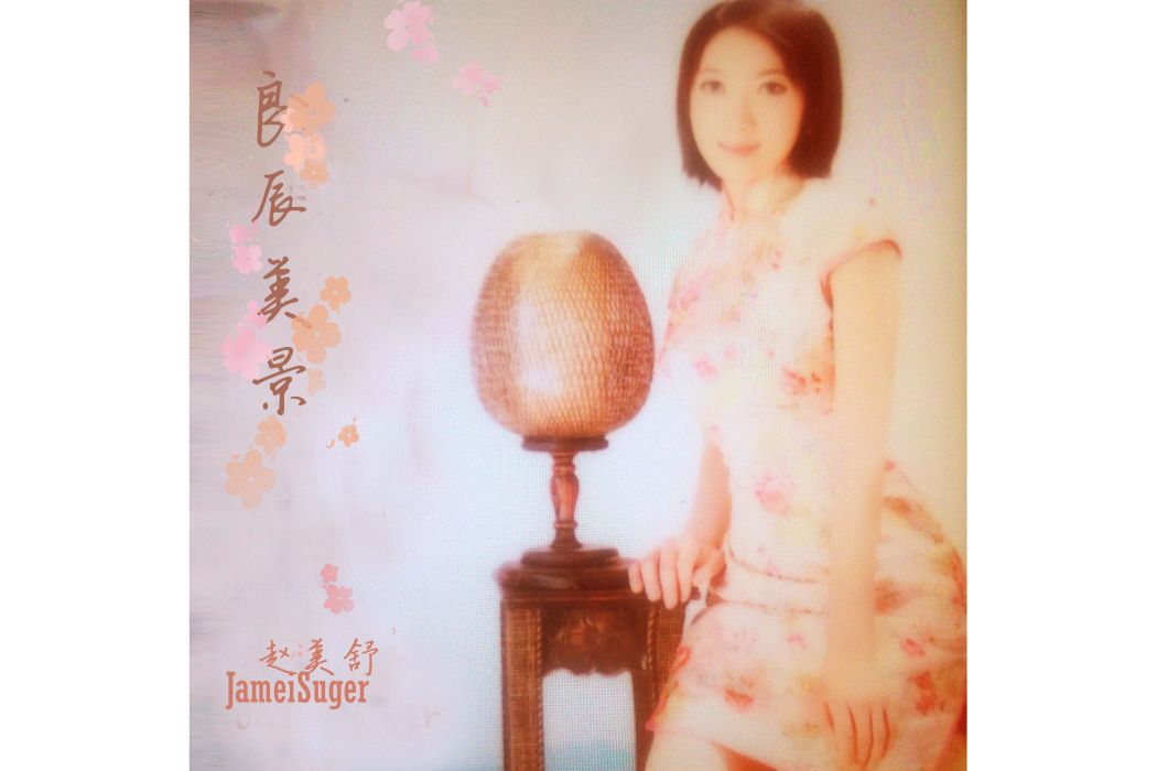 良辰美景(趙美舒的歌曲) 良辰美景(趙美舒的歌曲)