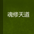 魂修天道 魂修天道
