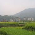 前溪村(浙江省麗水市縉雲縣溶江鄉下轄村) 前溪村(浙江省麗水市縉雲縣溶江鄉下轄村)