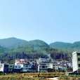 心齊村 心齊村