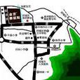 金京賽麗斯