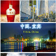 宜賓(宜賓市)