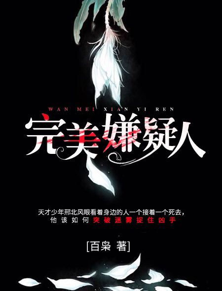 完美嫌疑人 完美嫌疑人