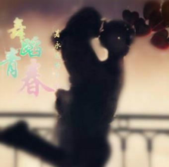 舞蹈青春 舞蹈青春
