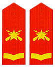 武警二級士官肩章(1999-2007)