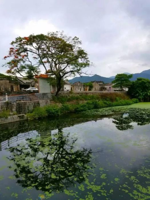 石路村(浙江省溫州市蒼南縣蘆浦鎮下轄村) 石路村(浙江省溫州市蒼南縣蘆浦鎮下轄村)