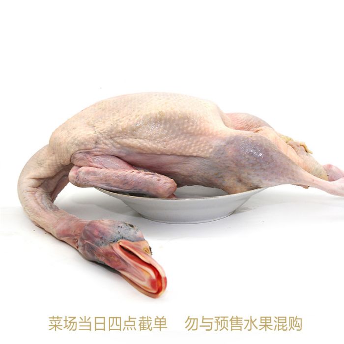 全淨膛 全淨膛