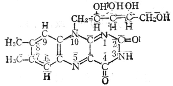 水溶性維生素B2(核黃素)化學結構式