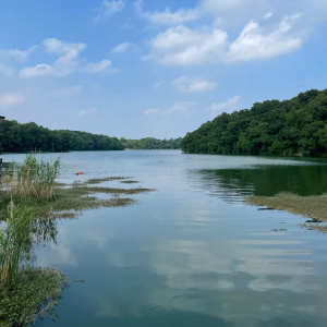 大堰西水庫