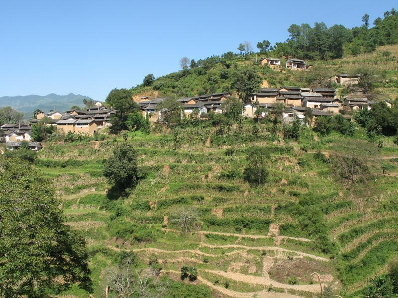 下大阱村 下大阱村