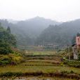 振興村(峨山縣雙江鎮桃李村民委員會下轄村) 振興村(峨山縣雙江鎮桃李村民委員會下轄村)