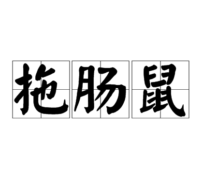 拖腸鼠 拖腸鼠