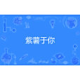 紫薯於你 紫薯於你
