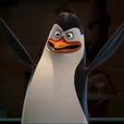 Kowalski Kowalski
