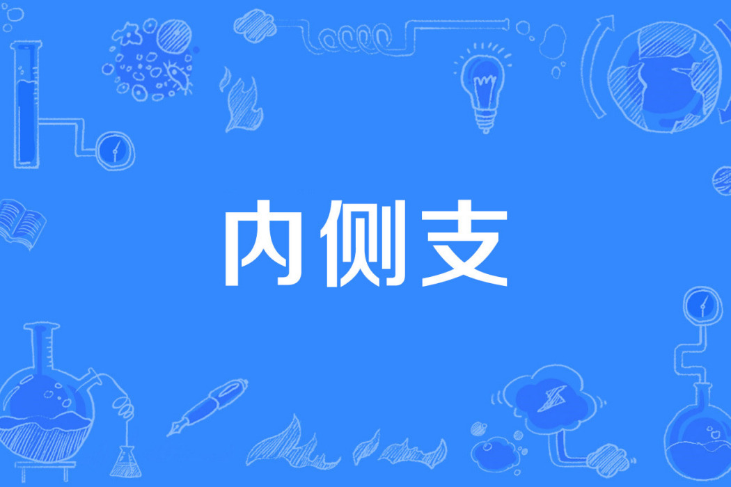 內側支 內側支