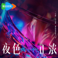 夜色正濃(李駿、荊麗鵬執導的電視劇) 夜色正濃(李駿、荊麗鵬執導的電視劇)