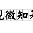 視微知著 視微知著