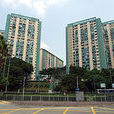 愛民邨 愛民邨