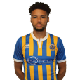 李·安格爾(Lee Angol) 李·安格爾(Lee Angol)