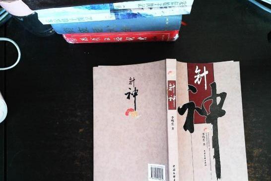 針神(2008年中國文聯出版社出版的圖書) 針神(2008年中國文聯出版社出版的圖書)