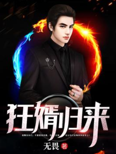 狂婿歸來(無畏所著小說) 狂婿歸來(無畏所著小說)