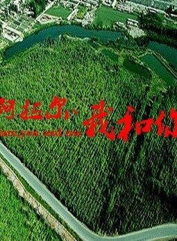 周翔(中國內地80後男演員)