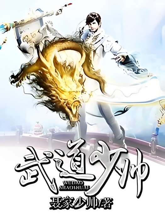 武道少帥 武道少帥