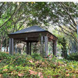 維多利亞公園 維多利亞公園