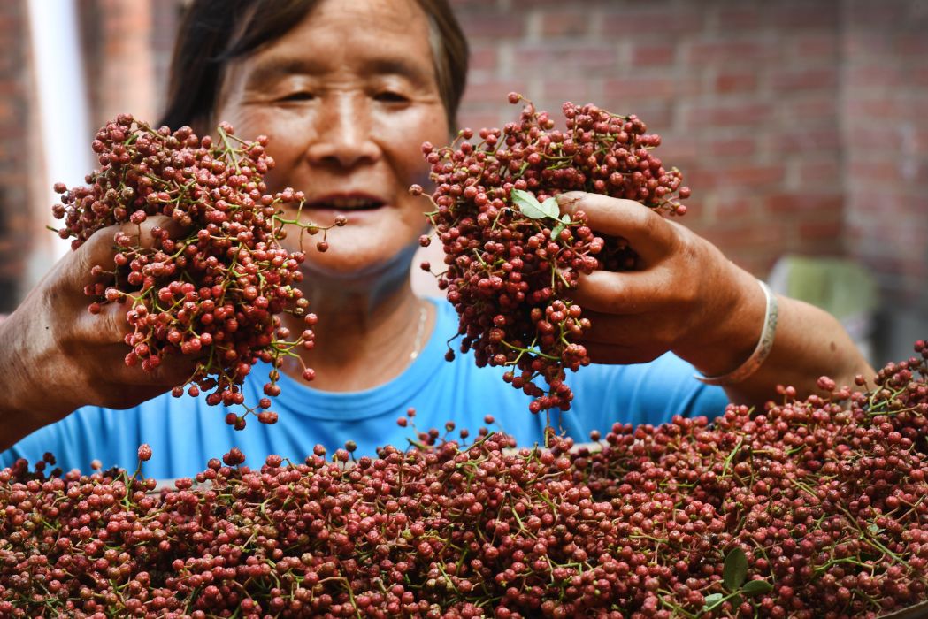 華州花椒 華州花椒