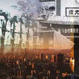 台灣光復(紀錄片)